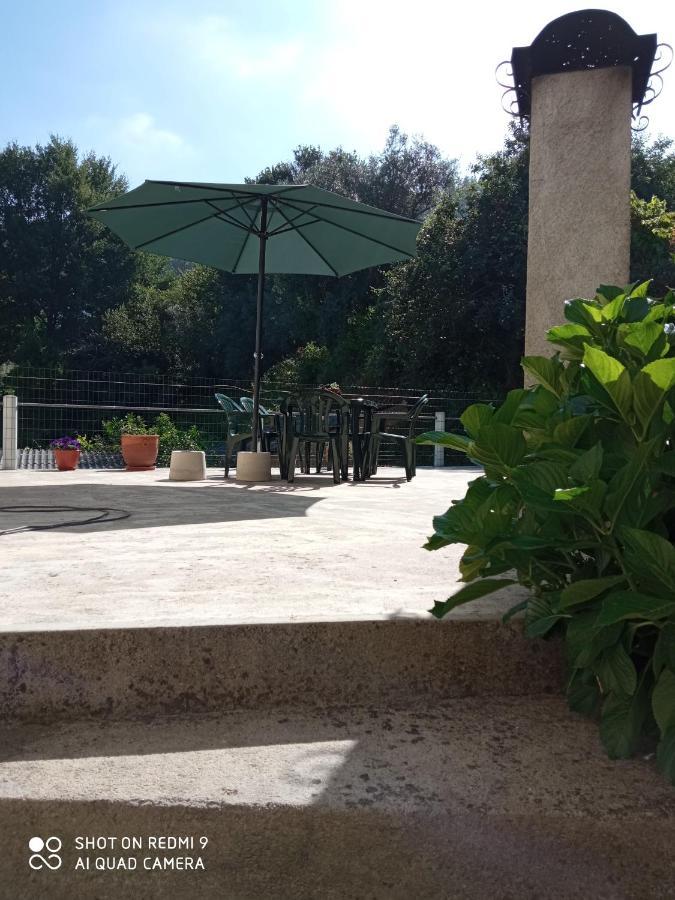 Casa Dos Grilos เปนากอวา ภายนอก รูปภาพ